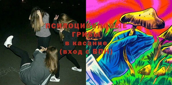 сатива Алзамай