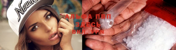 сатива Алзамай